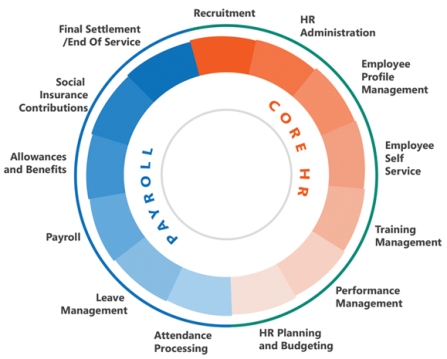 Localized Payroll -|- IAX Services